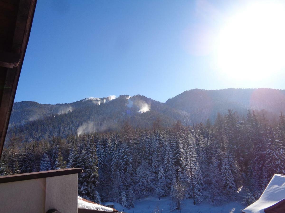 Yastrebetz View Apartment Borovets Ngoại thất bức ảnh